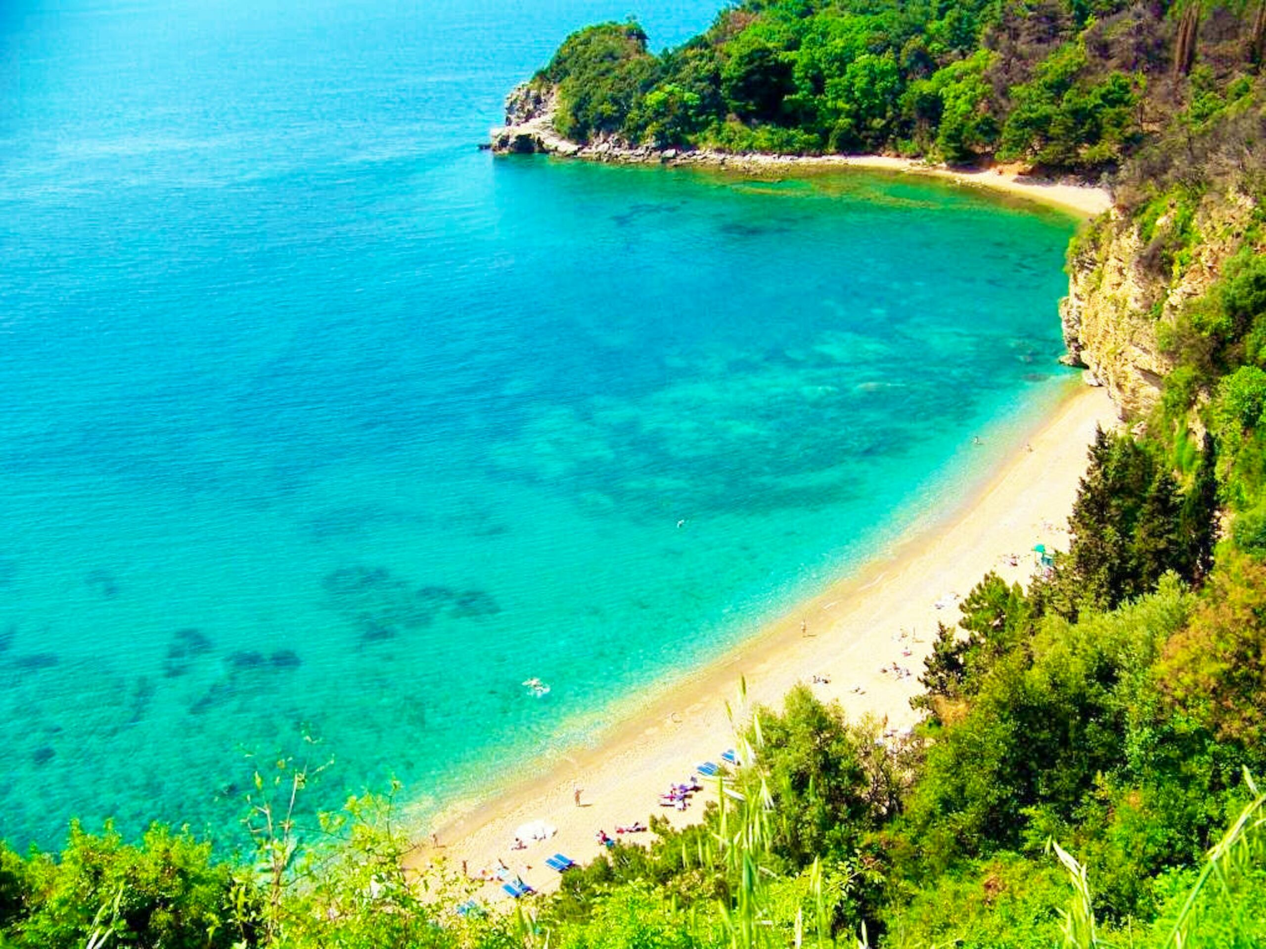 bfc2095b-829c-482a-8650-fc0089f080d7-jaz_1