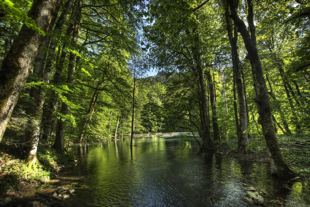 national-park-biogradska-gora (1)