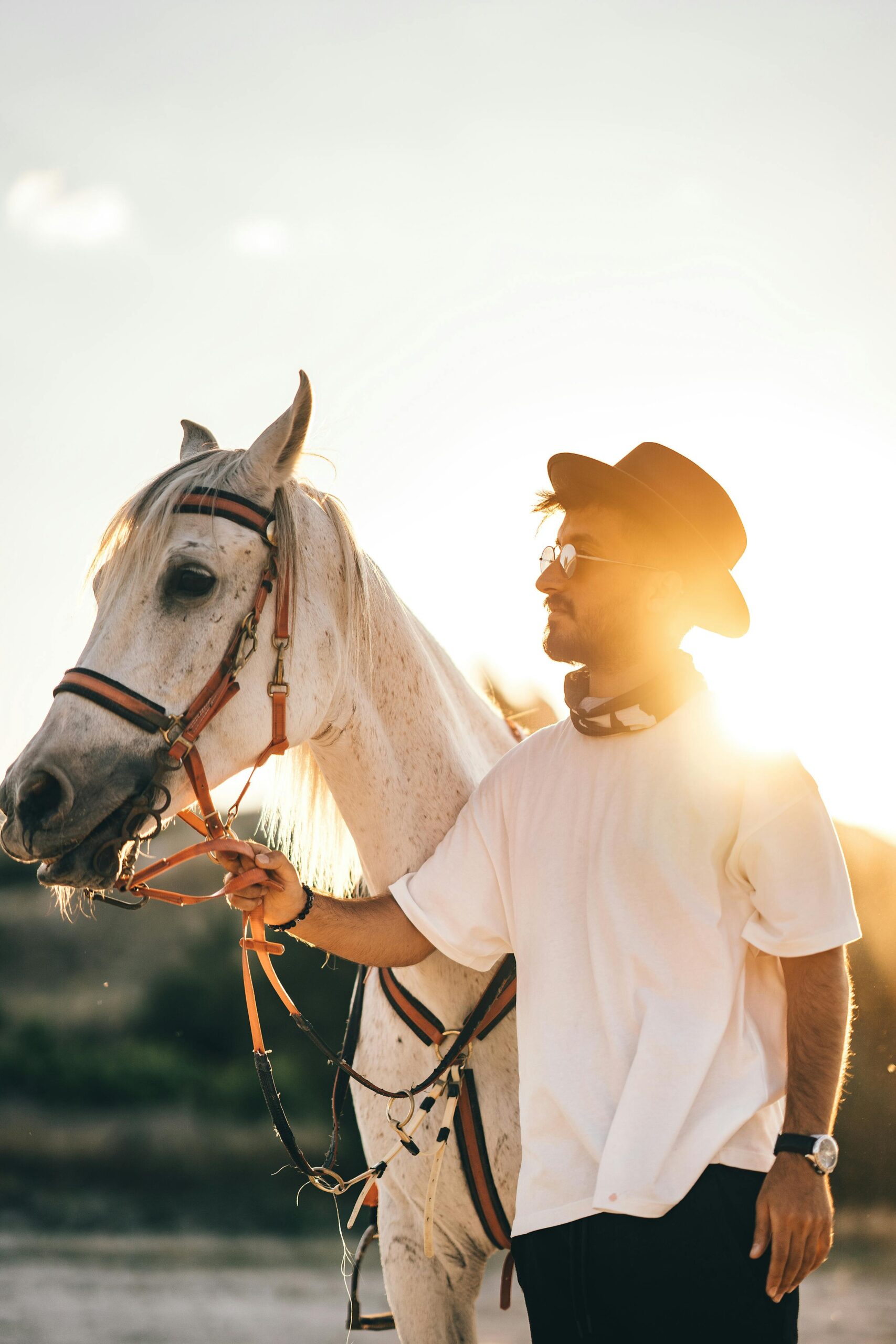 pexels-kadir-avşar-15011210